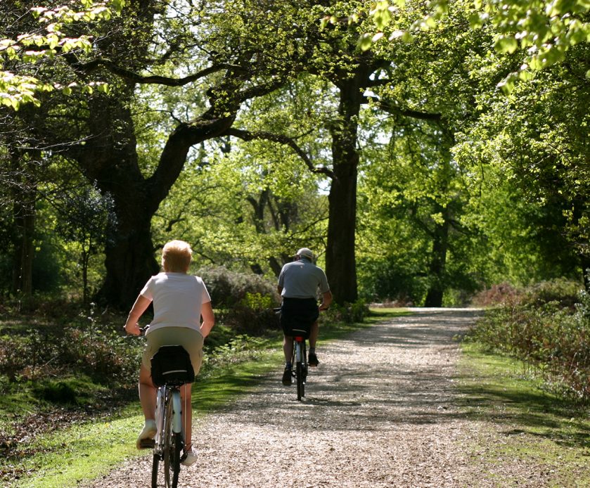 Two People Cycling In The New Forest